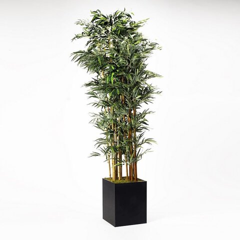 Bamboo Tree 8'