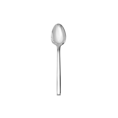 Modern Stainless Large Teaspoon