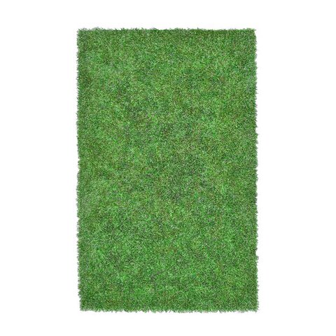 Grass Rug 5' x 7'