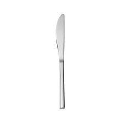 Modern Stainless Dinner Knife