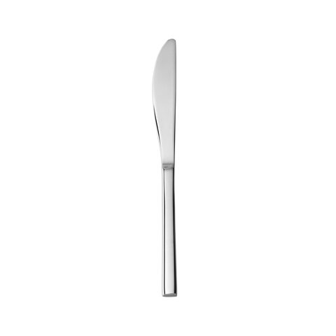 Modern Stainless Dinner Knife
