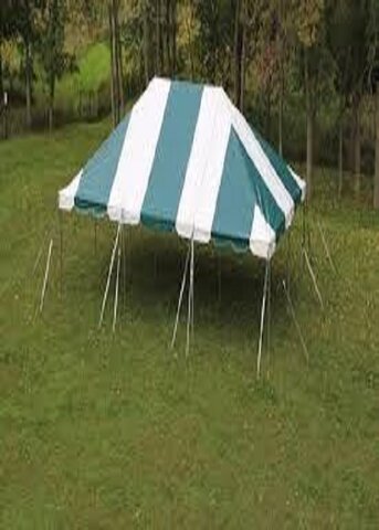 Do it yourself Set of 20 x 30 Pole Tent Striped White & Green w/5 Tables and 40 Folding Chair Brown Outdoor  (Tools Not Included) Staked in the ground