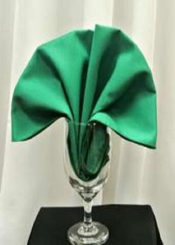 Poly Napkins color Emerald Green