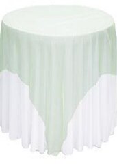 Overlay Organza Color Mint Green