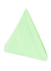 Poly Napkin Color Mint Green