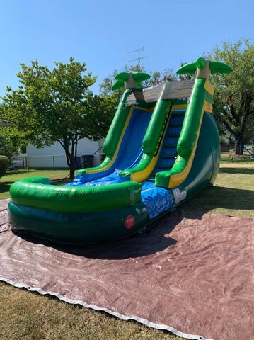 15ft Palm Tree Dry Slide