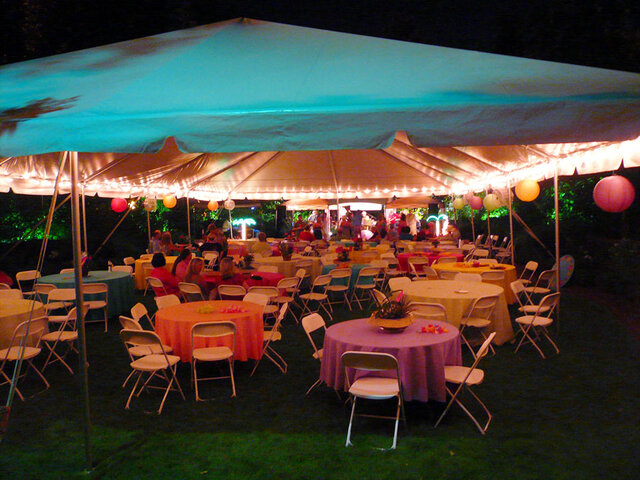 market string lights on tent