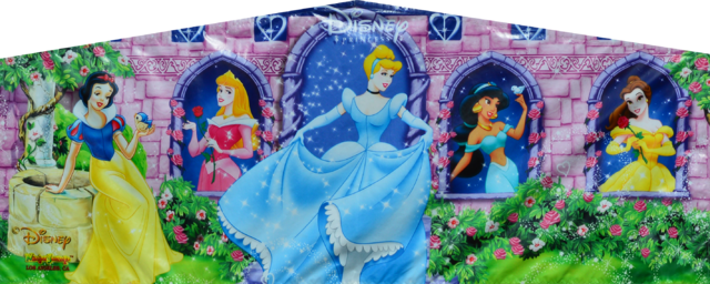 disney princess banner rental