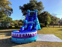 22ft Electric Jellyfish Waterslide