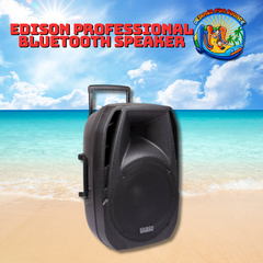 Edison Professional Bluetooth Speaker