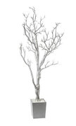 4FT Silver Manzanita Tree With Pot 