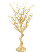 30” Gold Manzanita Tree