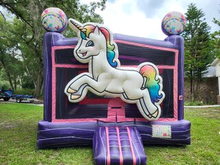 <p>Party Bot </p>  <p>(Large 15ft x 15ft) </p>