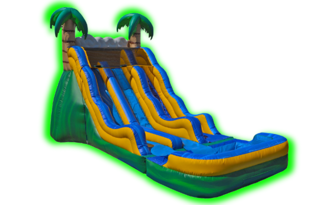 17 Ft Tropical Dual Lane Slide