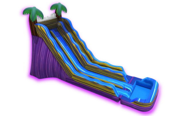 20 ft Tropical Blast Dual Lane Slide