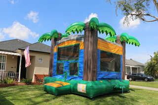 13ft Palm Tree Jumper