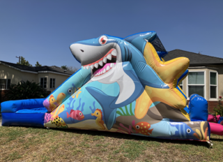 Baby Shark Water Slide 