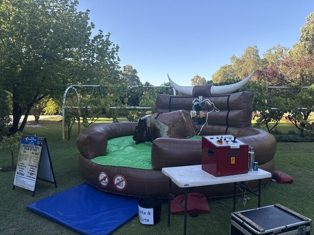 Mechanical Bucking Bull Hire with round inflatable