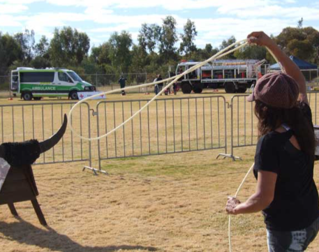 Lasso Throwing 4 Buffalos