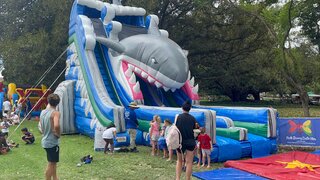 The Great White Shark Dry Slide