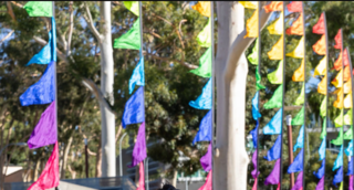 Bali Flags