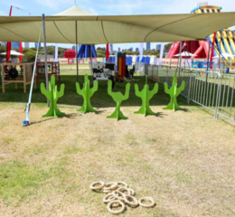 Cactus Toss