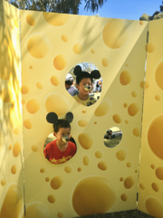 Cheese and Mouse Selfie Booth