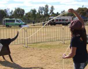 Lasso Throwing 2 Buffalos