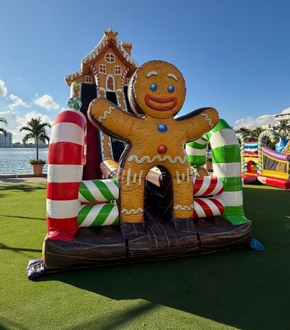 28' Tall Gingerbread Dual Lane Dry Slide