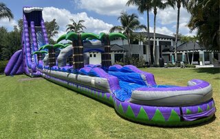 40' Tall - Grape Crush Water Slide single lane