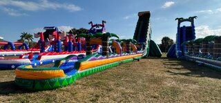 44' Tall - Mardi Gras Water Slide single lane