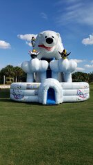 30' Tall Polar Bear Plunge Dry Slide