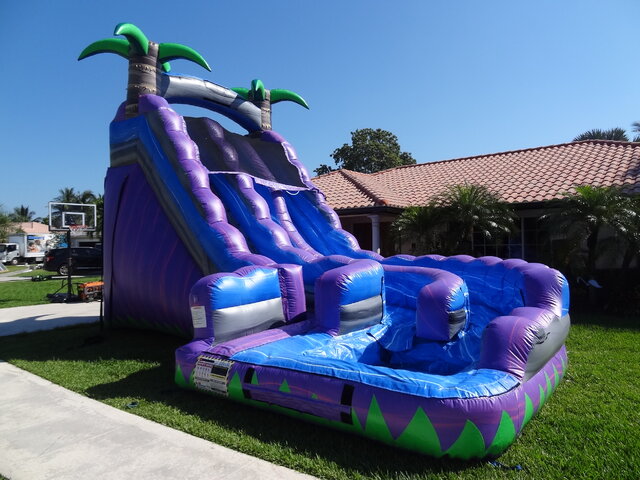 20' Tall - Purple Twist Water Slide dual lane