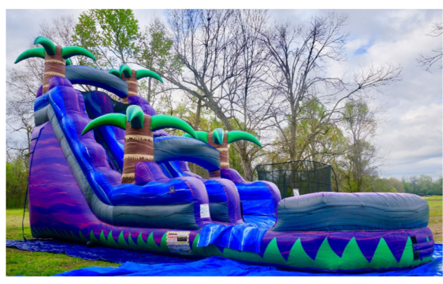 18ft purple crush