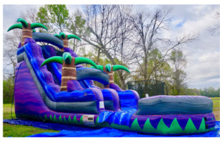 18ft purple crush