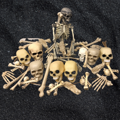 Bones and Skulls 30 pieces