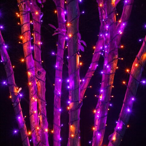 Purple/Orange LED String Lights 5 pieces