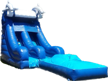 16ft Dolphin Slide w/Ball Pit