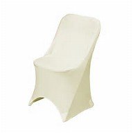 Champagne Chair Cover