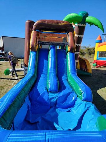 TRex dinosaur bounce house rental with slide