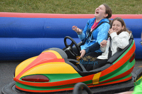 Bumper cars in motion at a Texas party rental event