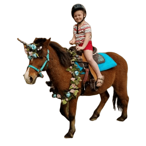 Pony & Unicorn Rides