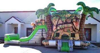 Fort Worth Bounce House with Slide – Perfect for Kids Parties