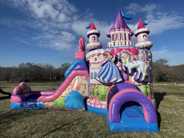 Pink and purple princess castle bounce house and water slide combo rental in Cleburne, TX