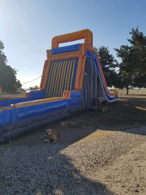 Velcro Wall and 18ft. Slide Combo Rental DFW Texas