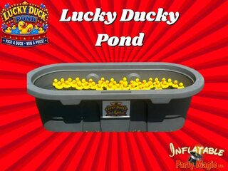 Duck Pond Carnival Game 