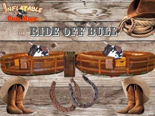 Ride Off Dueling Mechanical Bull Rental