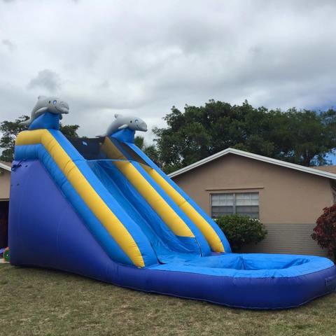 Dolphin Water Slide 16' #33