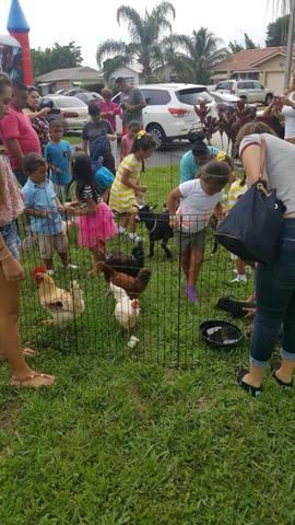 Petting Zoo (Up to Delray Beach)