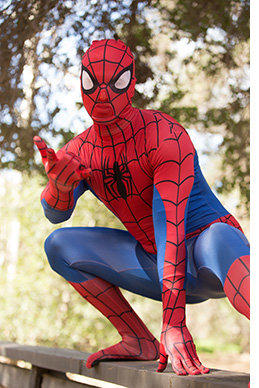 Super Spiderman Character